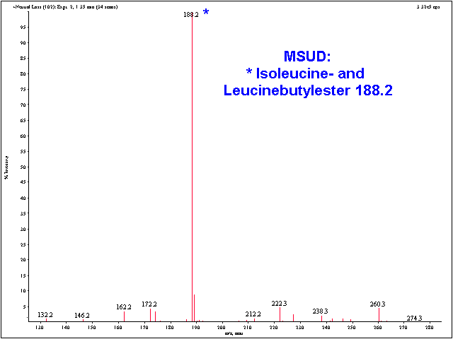 Msud Treatment